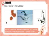 湘美版小學美術五年級上冊 第6課《水墨動物》預畫案  課件