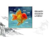 湘美版小學美術五年級上冊 第6課《水墨動物》基于標準的教學課件