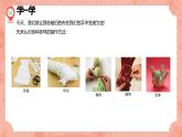 湘美版小學美術五年級上冊 第7課《布藝溫馨》預畫案 課件