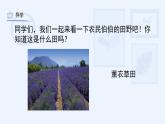 湘美版小學(xué)美術(shù)一年級上冊 第3課《田野的色彩》課件