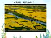 湘美版小學(xué)美術(shù)一年級上冊 第3課《田野的色彩》基于標(biāo)準(zhǔn)的教學(xué)課件_