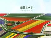 湘美版小學(xué)美術(shù)一年級上冊 第3課《田野的色彩》基于標(biāo)準(zhǔn)的教學(xué)課件_