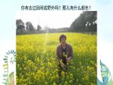 湘美版小學(xué)美術(shù)一年級上冊 第3課《田野的色彩》基于標(biāo)準(zhǔn)的教學(xué)課件_