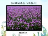 湘美版小學(xué)美術(shù)一年級上冊 第3課《田野的色彩》基于標(biāo)準(zhǔn)的教學(xué)課件_