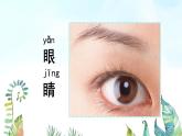 湘美版小學美術(shù)一年級上冊 第4課《大眼睛》基于標準的教學課件
