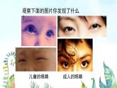 湘美版小學美術(shù)一年級上冊 第4課《大眼睛》基于標準的教學課件