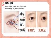 湘美版小學美術(shù)一年級上冊 第4課《大眼睛》預畫案  課件