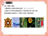 湘美版小学美术一年级上册 第11课《数字变变变》预画案 课件