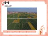 湘美版小學(xué)美術(shù)一年級上冊 第3課《田野的色彩》預(yù)畫案  課件