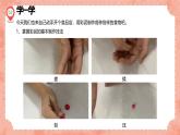 湘美版小學(xué)美術(shù)一年級(jí)上冊(cè) 22課《小小食品店》預(yù)畫案 課件