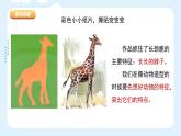 湘美版小學(xué)美術(shù)一年級上冊 8課《奇妙的撕紙》課件