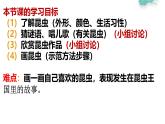 冀教版（2021）小學(xué)美術(shù)2年級上冊第11課《昆蟲王國》（課件）
