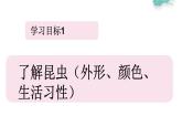 冀教版（2021）小學(xué)美術(shù)2年級上冊第11課《昆蟲王國》（課件）
