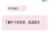 冀教版（2021）小學(xué)美術(shù)2年級上冊第13課《秋天的葉子》（課件）