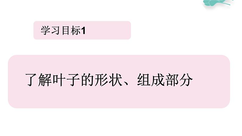 冀教版（2021）小学美术2年级上册第13课《秋天的叶子》（课件）第5页