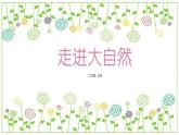 冀教版（2021）小學(xué)美術(shù)2年級上冊第20課《走進大自然》（課件）