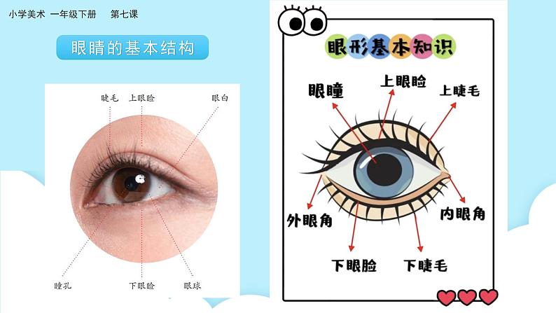 美术岭南版一年级下册 第七课《闪亮眼睛会说话》课件第6页