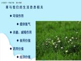 美術(shù)嶺南版一年級下冊 第14課《草色新》課件+教案