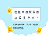 美術嶺南版一年級下冊 第15課《草木生》課件+教案