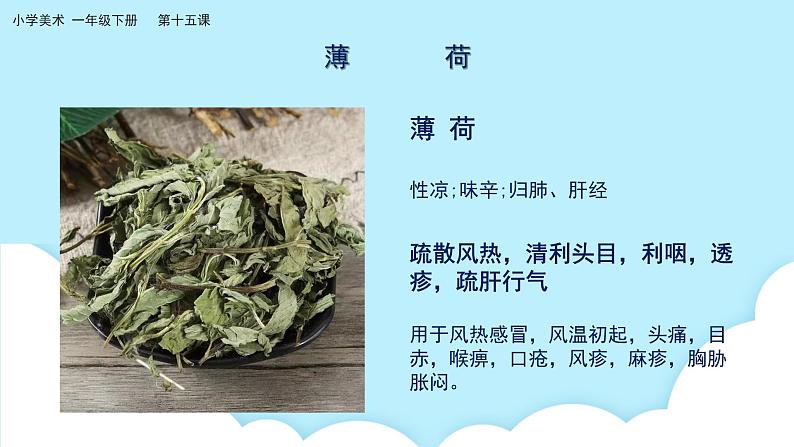 美术岭南版一年级下册 第十五课《草木生》课件第5页