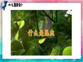 【湘美版】一上美術  第四單元 第二課《尋找昆蟲》課件+教案+素材