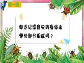 【湘美版】一上美術  第四單元 第二課《尋找昆蟲》課件+教案+素材