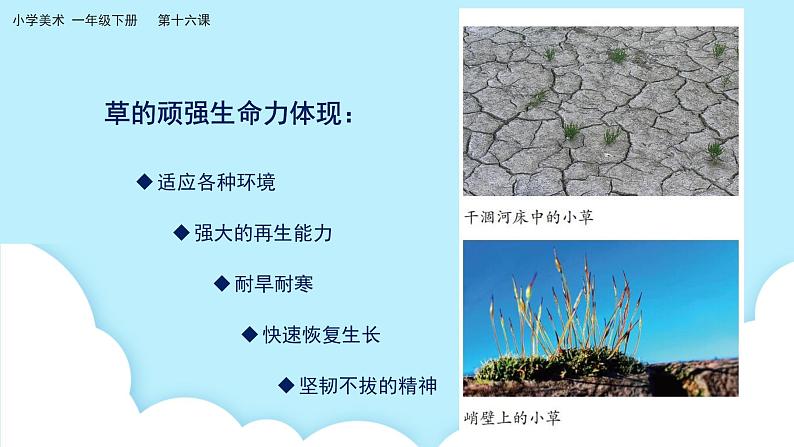 美术岭南版一年级下册 第十六课《草本说》课件第6页