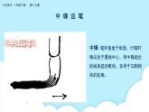 美術(shù)嶺南版一年級(jí)下冊(cè) 第19課《體驗(yàn)側(cè)鋒的樂(lè)趣》課件+教案