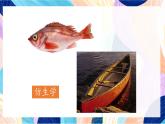 蘇少版美術六下 第6課《向動物朋友學習）》課件+教案