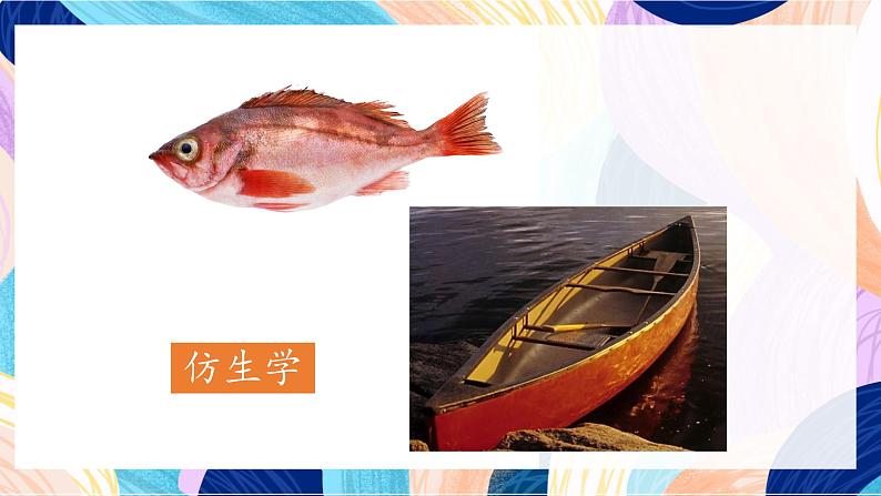 苏少版美术六下 第6课《向动物朋友学习》课件第2页