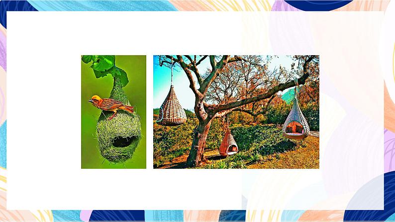 苏少版美术六下 第6课《向动物朋友学习》课件第3页