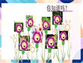 蘇少版美術(shù)二下 第6課《花兒朵朵（一）》課件+教案