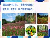 蘇少版美術(shù)二下 第6課《花兒朵朵（一）》課件+教案