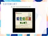 蘇少版美術(shù)二下 第10課《樹上樹下（二）》課件+教案