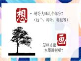 蘇少版美術(shù)二下 第11課《水墨畫(huà)樹(shù)》課件+教案