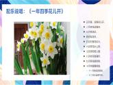 蘇少版美術(shù)二下 第13課《會(huì)變的花、樹、葉》課件+教案