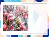蘇少版美術四下 第3課《下雨啰》課件+教案
