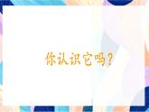 苏少版美术四下 第6课《鸟和家禽》课件+教案