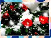 蘇少版美術(shù)一下 第1課《雪》課件+教案