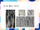 蘇少版美術(shù)一下 第7課《拉根線條去散步》課件+教案