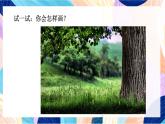蘇少版美術(shù)一下 第7課《拉根線條去散步》課件+教案