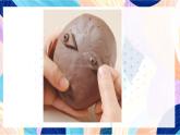 蘇少版美術(shù)一下 第11課《這是我呀》課件+教案