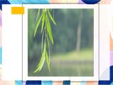 蘇少版美術(shù)一下 第13課《葉子片片》課件+教案