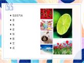 蘇少版美術(shù)一下 第16課《畫味覺畫嗅覺》課件+教案