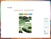 【核心素养优质课】人教版美术一年级下册第1单元第1课《春天在哪里》教学课件+同步教案
