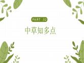 2024一年级下册岭南版美术第15课《草木生》课件ppt