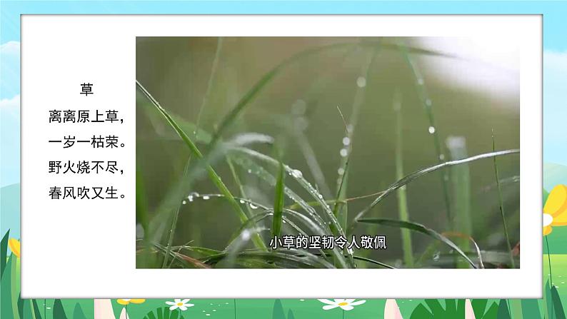 2024一年级下册岭南版美术第16课《草本说》课件ppt第3页