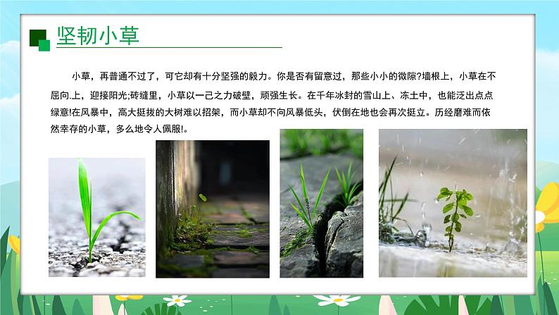 2024一年级下册岭南版美术第16课《草本说》课件ppt第4页