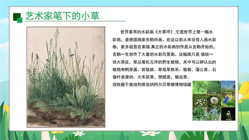 2024一年级下册岭南版美术第16课《草本说》课件ppt第6页