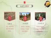 2024一年級(jí)下冊(cè)嶺南版美術(shù)第18課《探尋宣紙的秘密》課件ppt